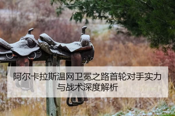 a-er-ka-la-si-wen-wang-wei-mian-zhi-lu-shou-lun-dui-shou-shi-li-yu-zhan-shu-shen-du-jie-xi-2-632.jpg
