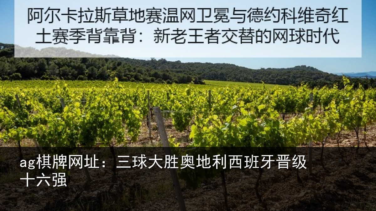 ag棋牌网址：三球大胜奥地利西班牙晋级十六强