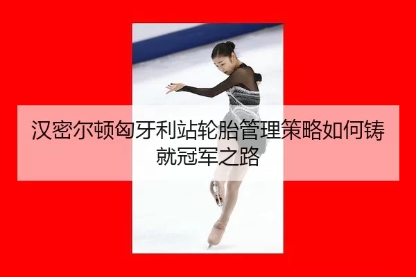 汉密尔顿匈牙利站轮胎管理策略如何铸就冠军之路