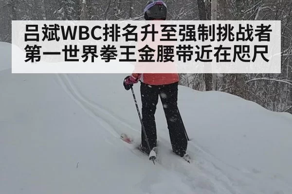 吕斌WBC排名升至强制挑战者第一世界拳王金腰带近在咫尺